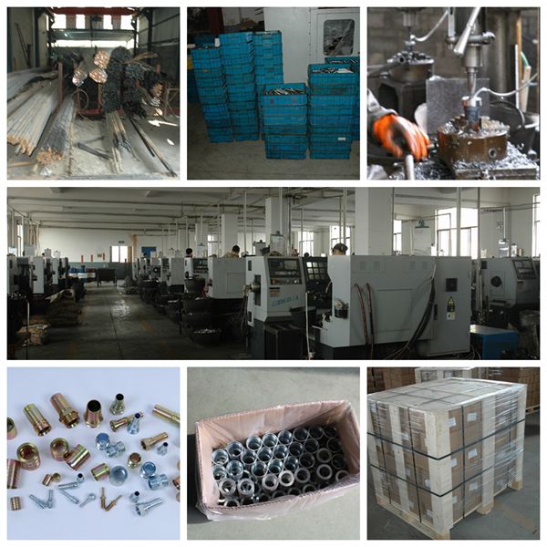 hydraulic ferrule from zhuji factory