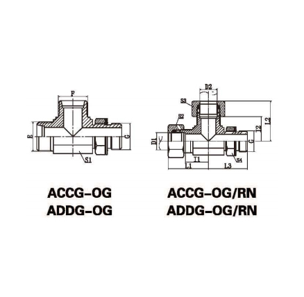 ACCG-OG/ADDG-OG/ACCG-OG/RN/ADDG-OG/RN