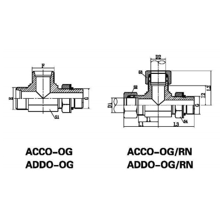 ACCO-OG/ADDO-OG/ACCO-OG/RN/ADDO-OG/RN